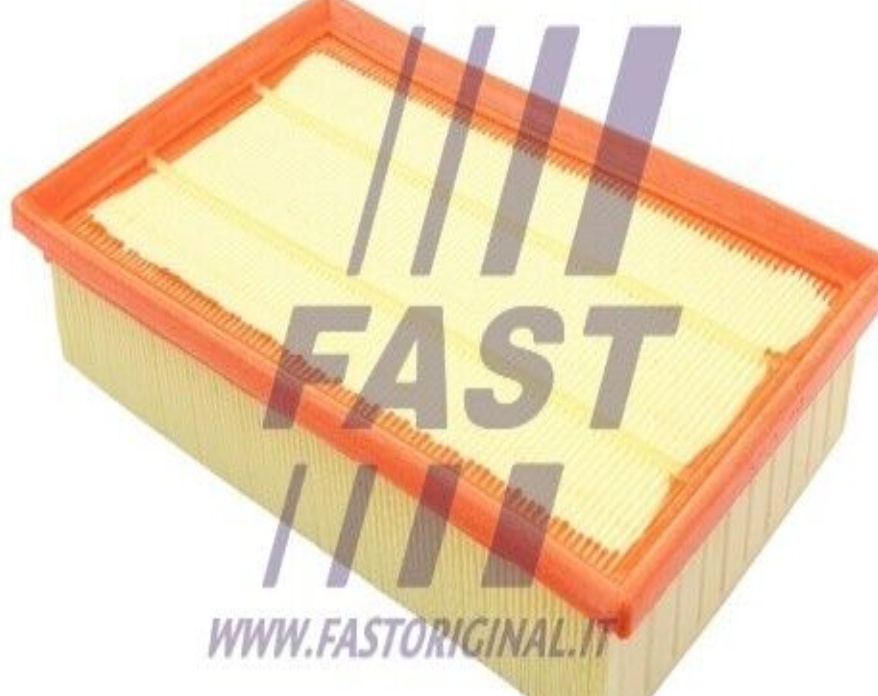 FT37024 FAST Air Filter for FORD