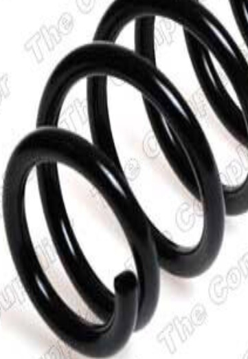 2x Suspension Coil Spring Rear Long Life Fits Suzuki Grand Vitara ROC CS3572 - Image 10