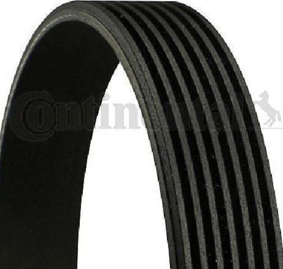 Original CONTINENTAL CTAM V-Ribbed Belt 7PK2967 for Audi Ford