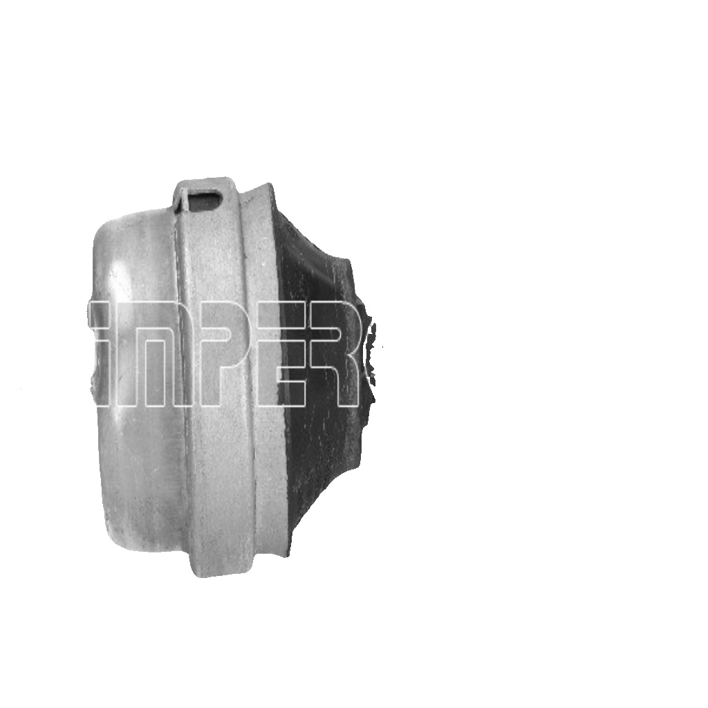 ALPINA BMW 3 2.0 3.0 - X1 X3 X4 2.0 3.0 BOSCH FUEL FILTER N2106