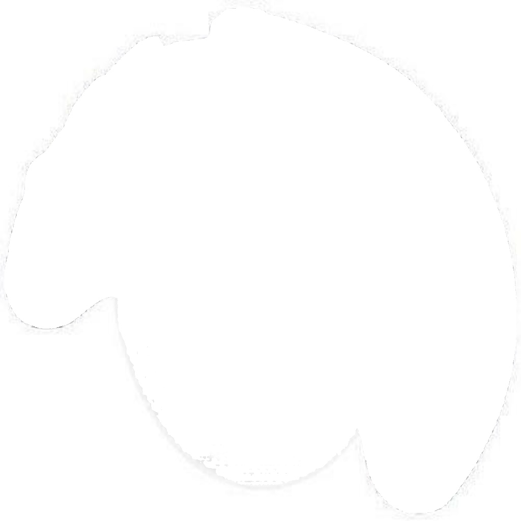 11325 A.B.S. SPLASH PANEL, BRAKE DISC FRONT AXLE RIGHT FOR MERCEDES-BENZ