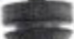 HCA-FT-007 NTY Sensor, wheel speed for FIAT
