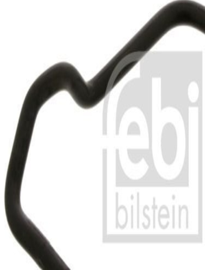 FERDINAND BILSTEIN 38944 Hose, crankcase breather for OPEL,SUZUKI,VAUXHALL