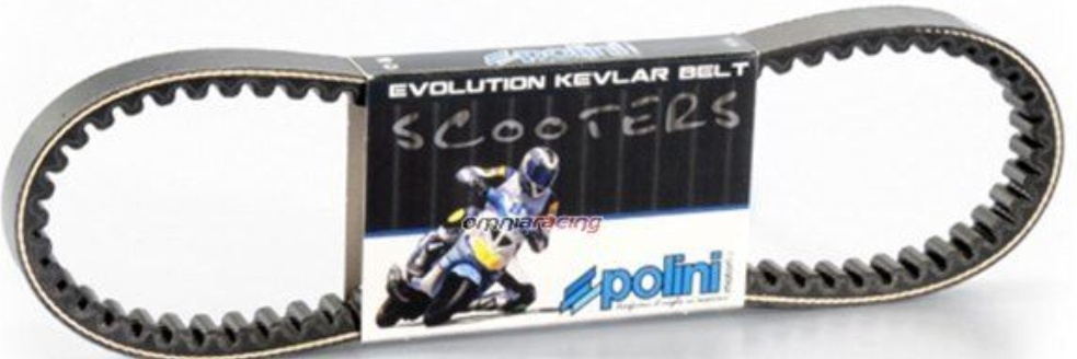 Polini Evolution Aramid Transmission Belt Minarelli Horizontal For Motorcycle