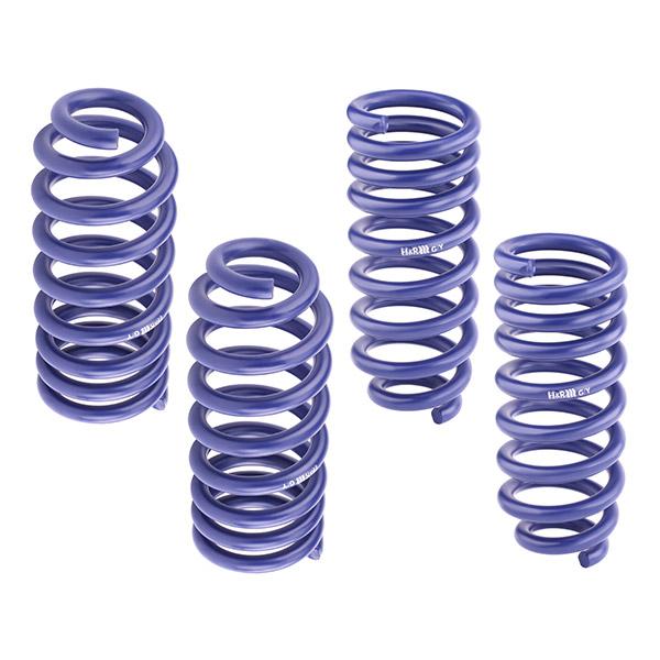 H&R 40mm Lowering Springs for Citroen ZX N2 91>97 - 29900-1