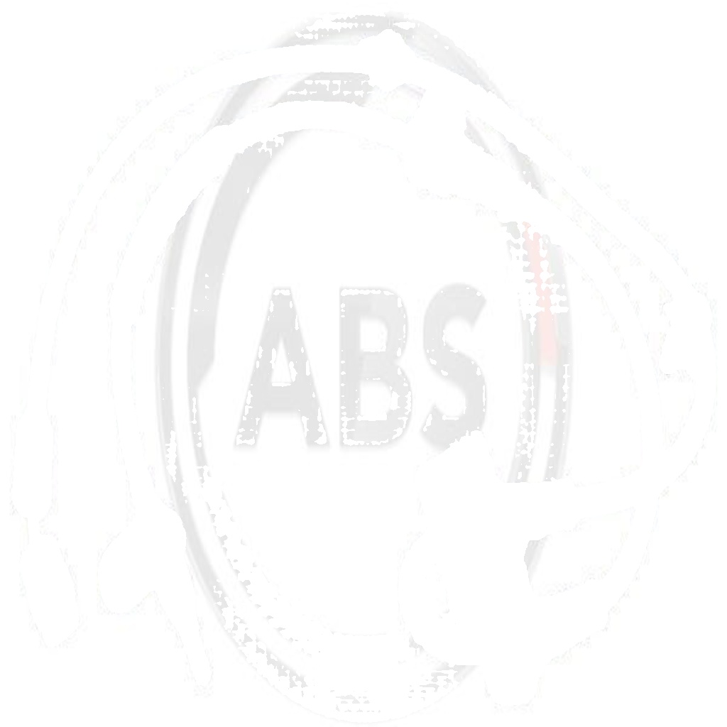 Original A.B.S. Wheel Speed Sensor 31129 For Fiat Suzuki