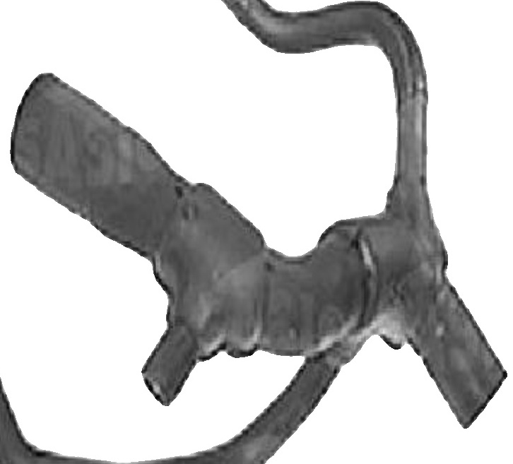 Lower SASIC SWH6653 Radiator Hose for FORD