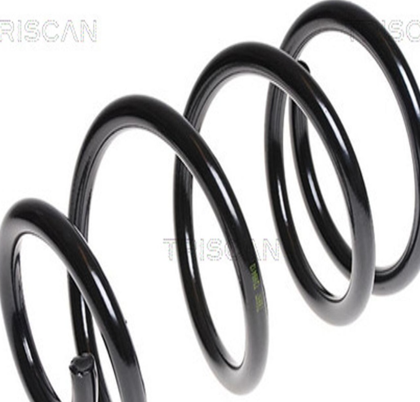 Front LESJÖFORS 4027640 Suspension Spring for FORD