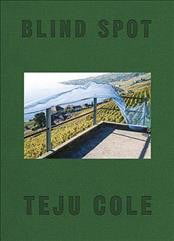 Blind Spot by Teju Cole HARDBACK 9780571335015 - Image 4