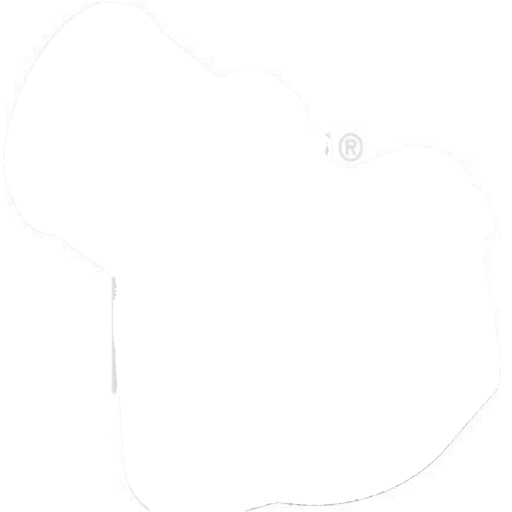 FEBI BILSTEIN 17935 Coolant Flange for CITROËN,FIAT,LANCIA,PEUGEOT