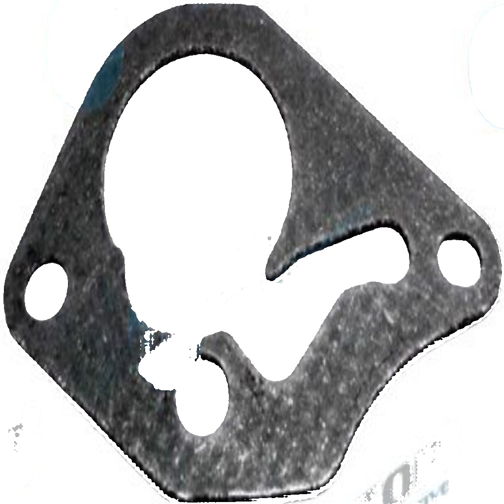 DRM0289 Dr.Motor Automotive Gasket, vacuum pump for ,DACIA,NISSAN,RENAULT