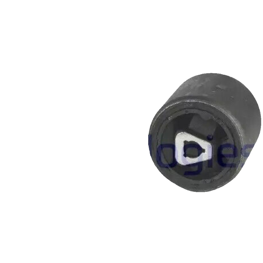 TD891W DELPHI Control Arm-/Trailing Arm Bush for BMW