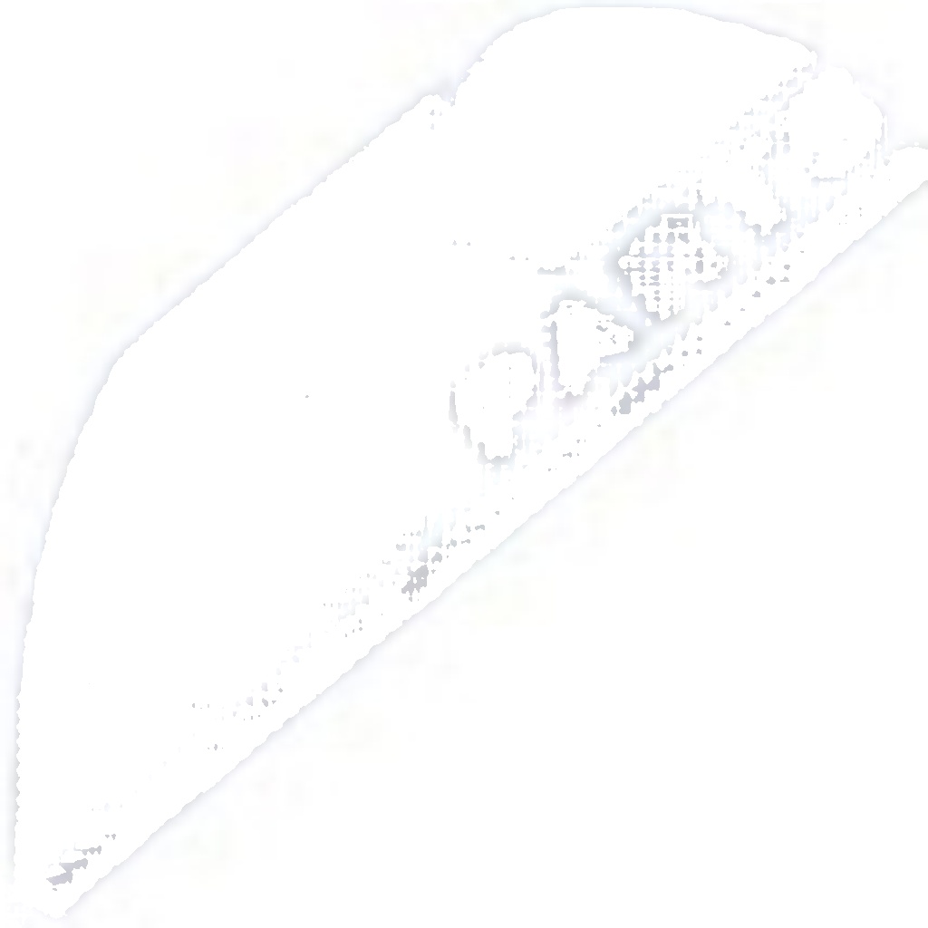 N.T.Y. ELP-CT-001.NTY Licence Plate Light for CITROËN,PEUGEOT
