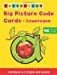 Big Picture Code Cards by Lyn Wendon (Cards)