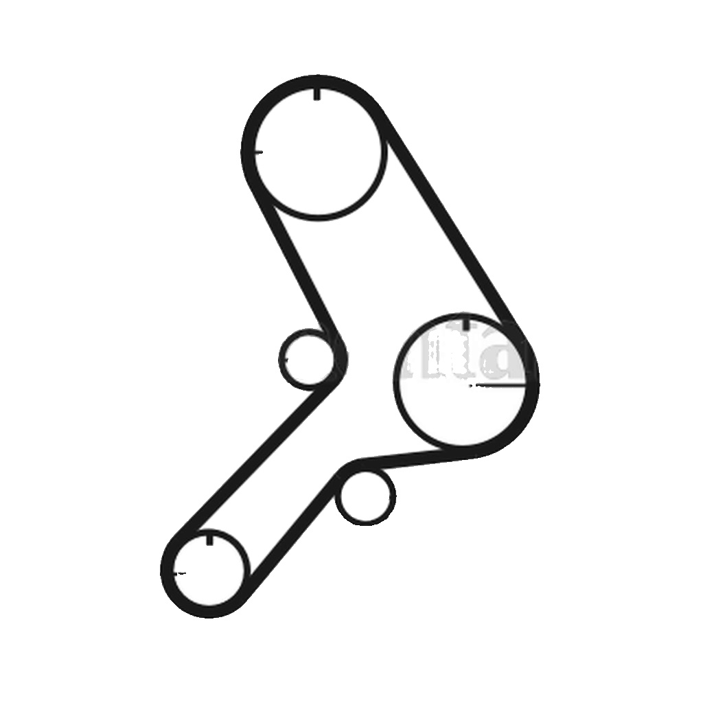 Timing belt CT619 CONTINENTAL CTAM for FIAT CITROËN CHERY