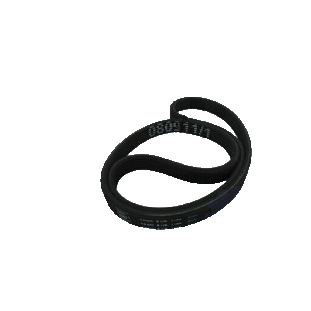 V-Ribbed Belt Set SKF VKMA 31001 Fits Audi Ford Seat Skoda VW A3 Alhambra Bora