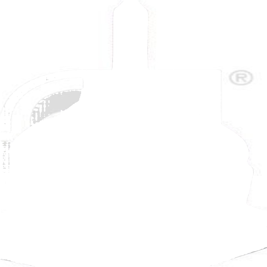 Left FEBI GERMANY 103231 Mounting, engine for LAND ROVER