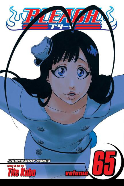Bleach, Vol. 65 Volume 65