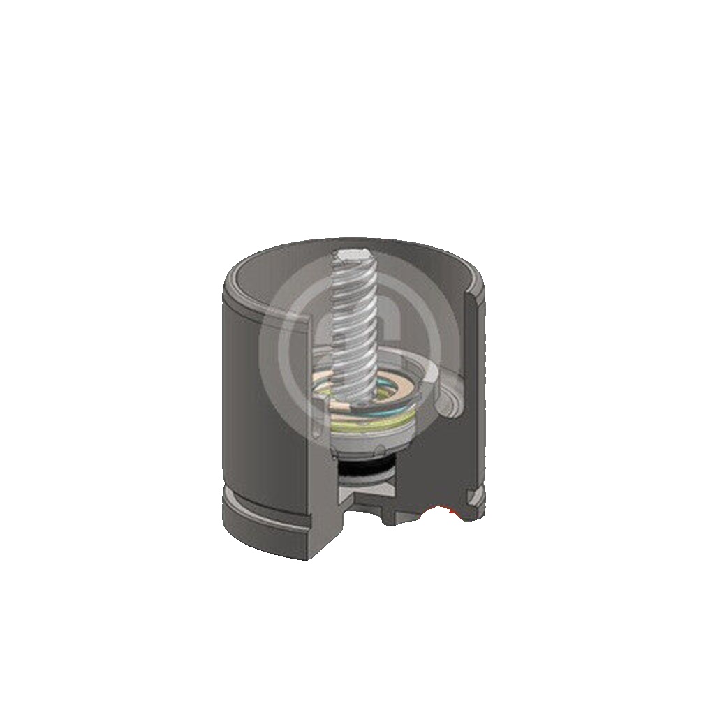 Front AUTOFREN SEINSA D025520RK Piston, brake caliper for CITROËN