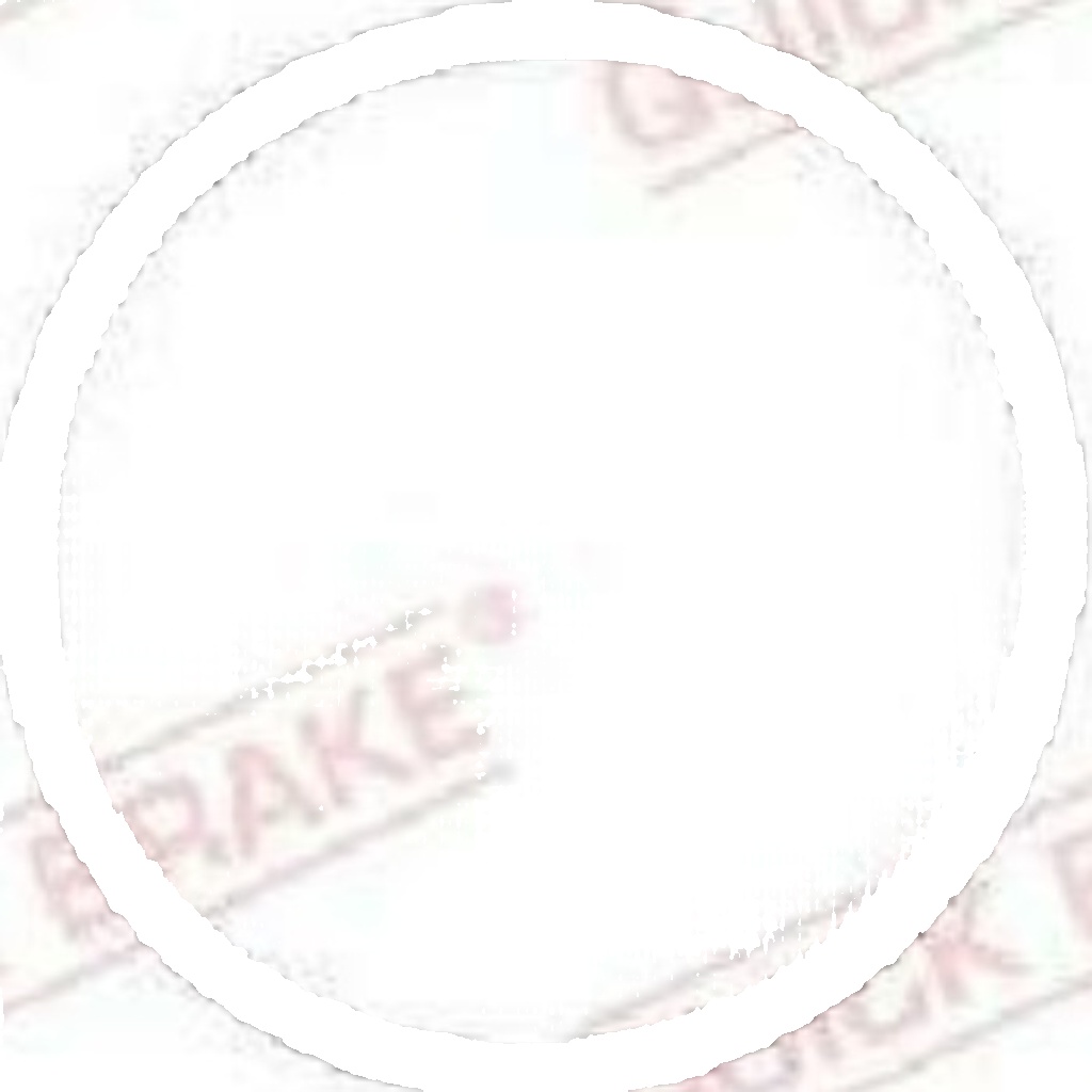 Brake caliper repair kit 114-5004 QUICK BRAKE for ALFA ROMEO LANCIA FIAT SKODA - Image 9