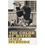 The Color of Water: A Black Man's Tribute to His White Mother by James ... - Image 7