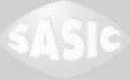 Transmission End SASIC 1904007 Bellow Set, drive shaft for DACIA,RENAULT