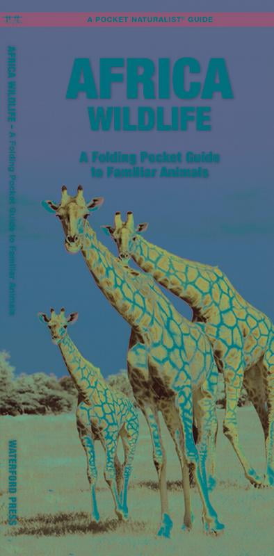 African Wildlife: A Folding Pocket Guide to Fam, Kavanagh, Press, Le Pamph+- - Image 4