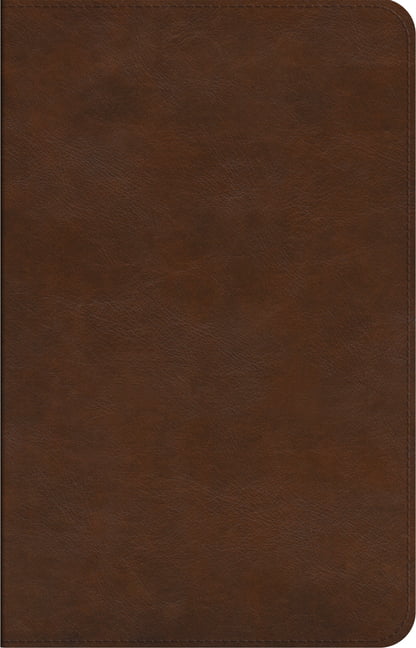 ESV Concise Study Bible™
