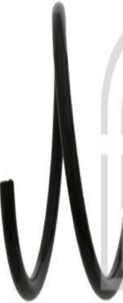 Front FEBI BILSTEIN 24888 Coil Spring for RENAULT