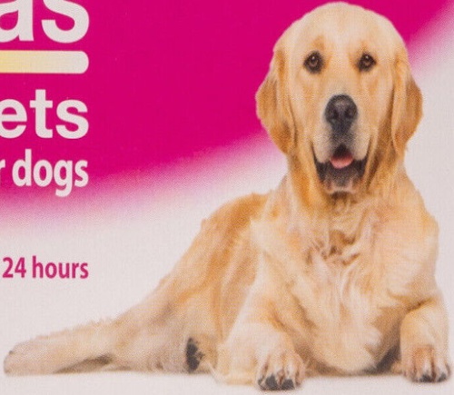 Johnsons Veterinary Products 4Fleas Dog Tablets, Large, 57 mg, 6 Tablets - Image 4