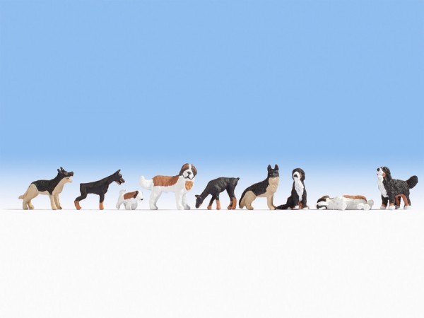 Noch 36717 N Scale Dogs pkg(9)