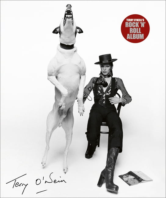 Terry O'Neill's Rock 'n' Roll Album by Terry O'Neill - 9781788841948