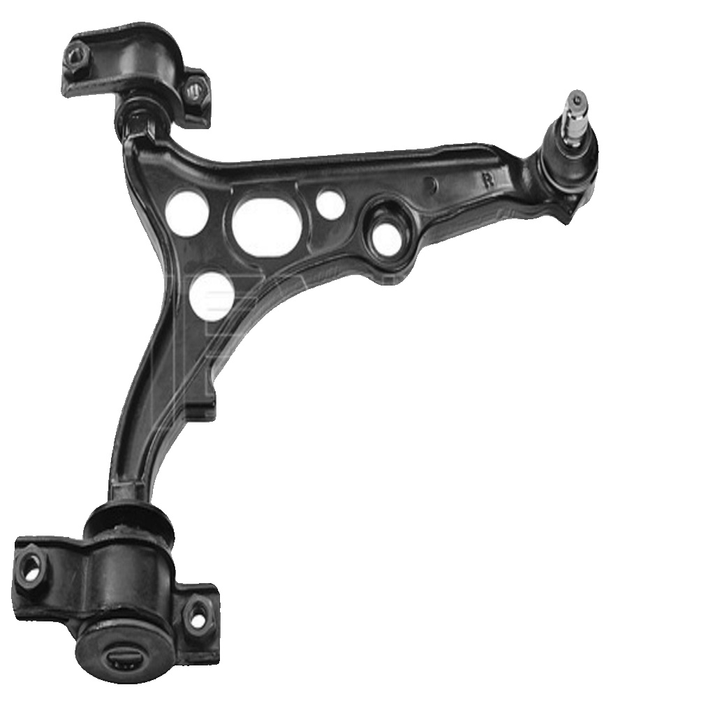 Original MEYLE Control Arm Suspension 216 050 3118 For Fiat Lancia