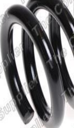 Front LESJÖFORS 4062063 Suspension Spring for NISSAN