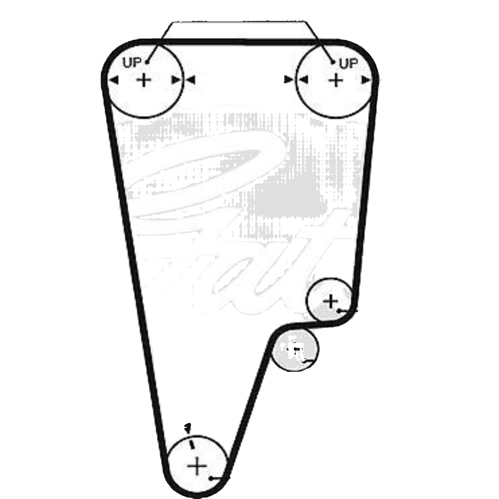Gates 5505XS Timing Belt - Image 4