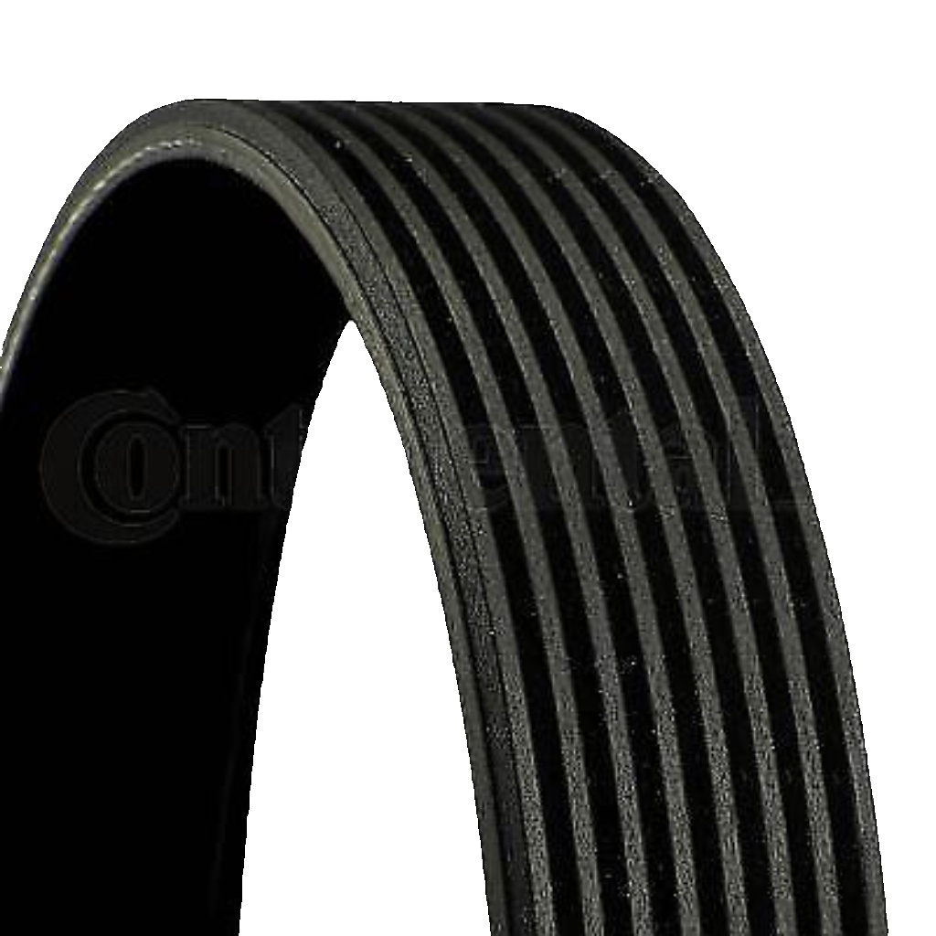 8PK1215 CONTINENTAL CTAM V-Ribbed Belt for MERCEDES-BENZ