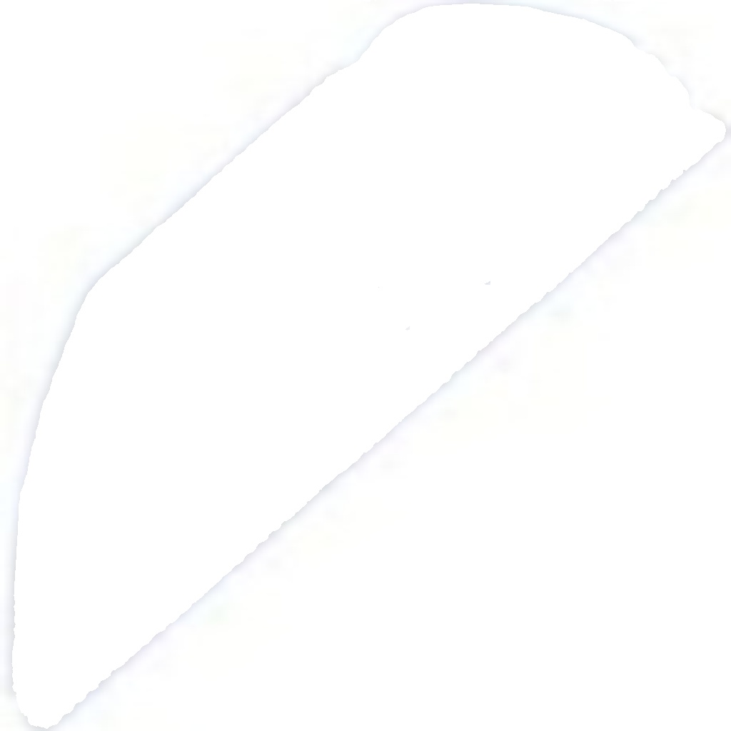 N.T.Y. ZTT-FR-004A.NTY Track Control Arm for FORD