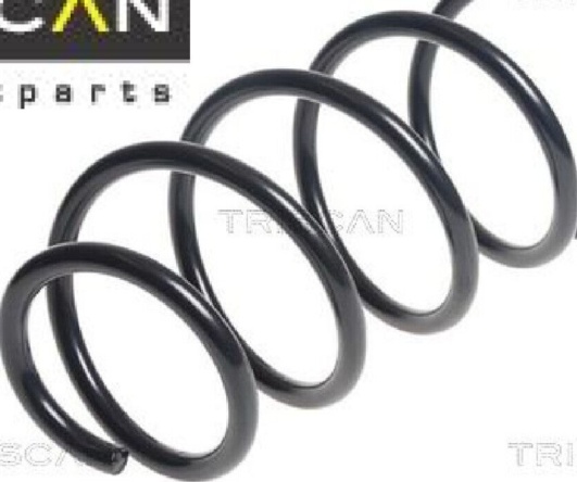 Fits LESJOFORS 4008507 COIL SPRINGS - Image 7