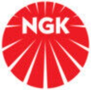 12x NGK SILKAR8C6DS 96372 Laser Iridium Spark Plug