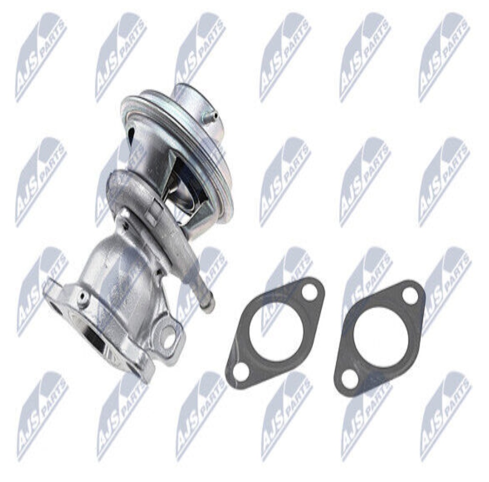Original NTY AGR Valve EGR-FT-002 For Fiat
