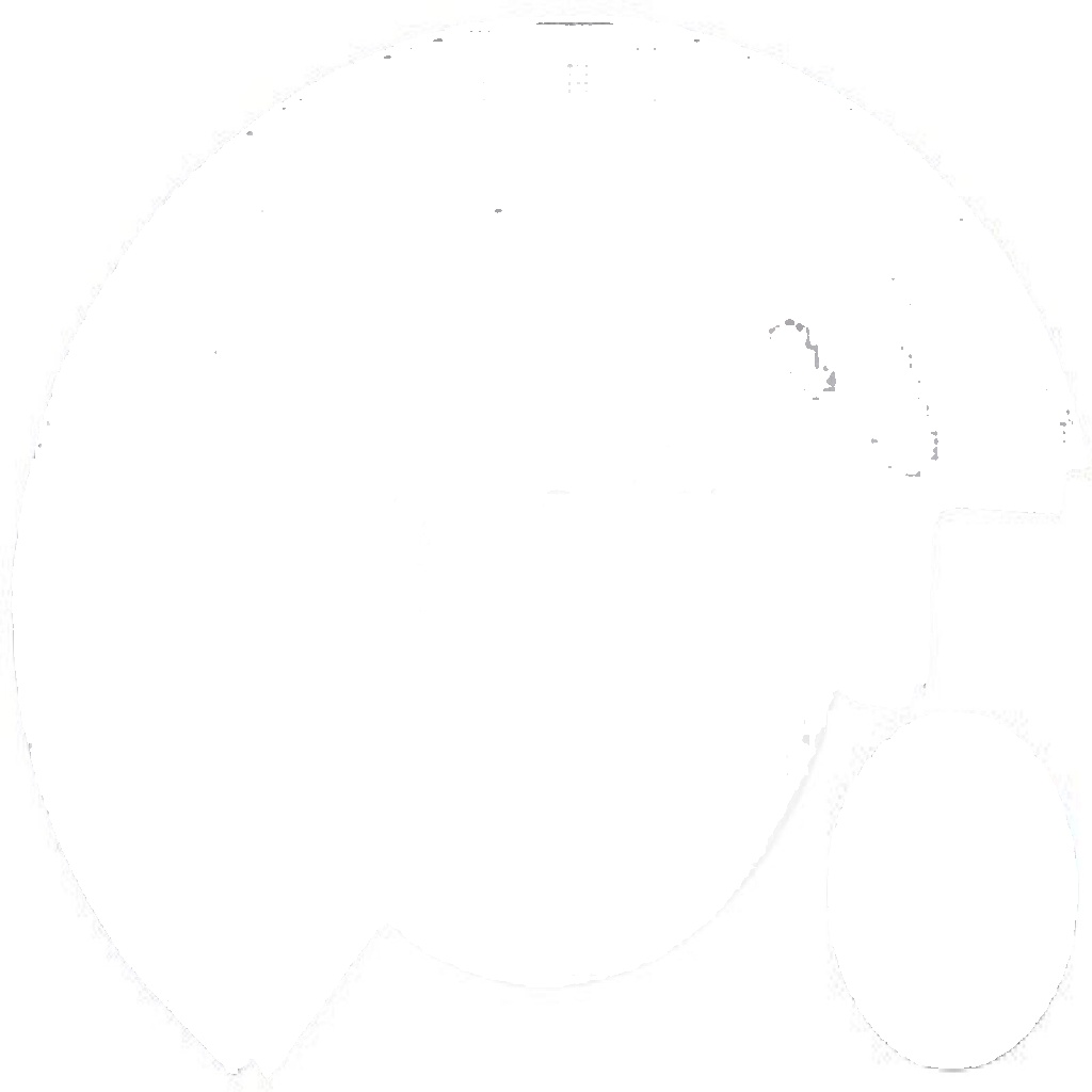 11170 A.B.S. Splash Panel, brake disc for RENAULT