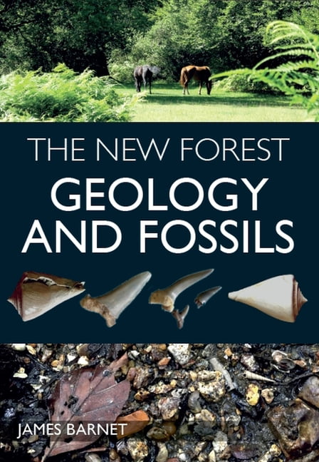 The New Forest by James Barnet - 9781785008160