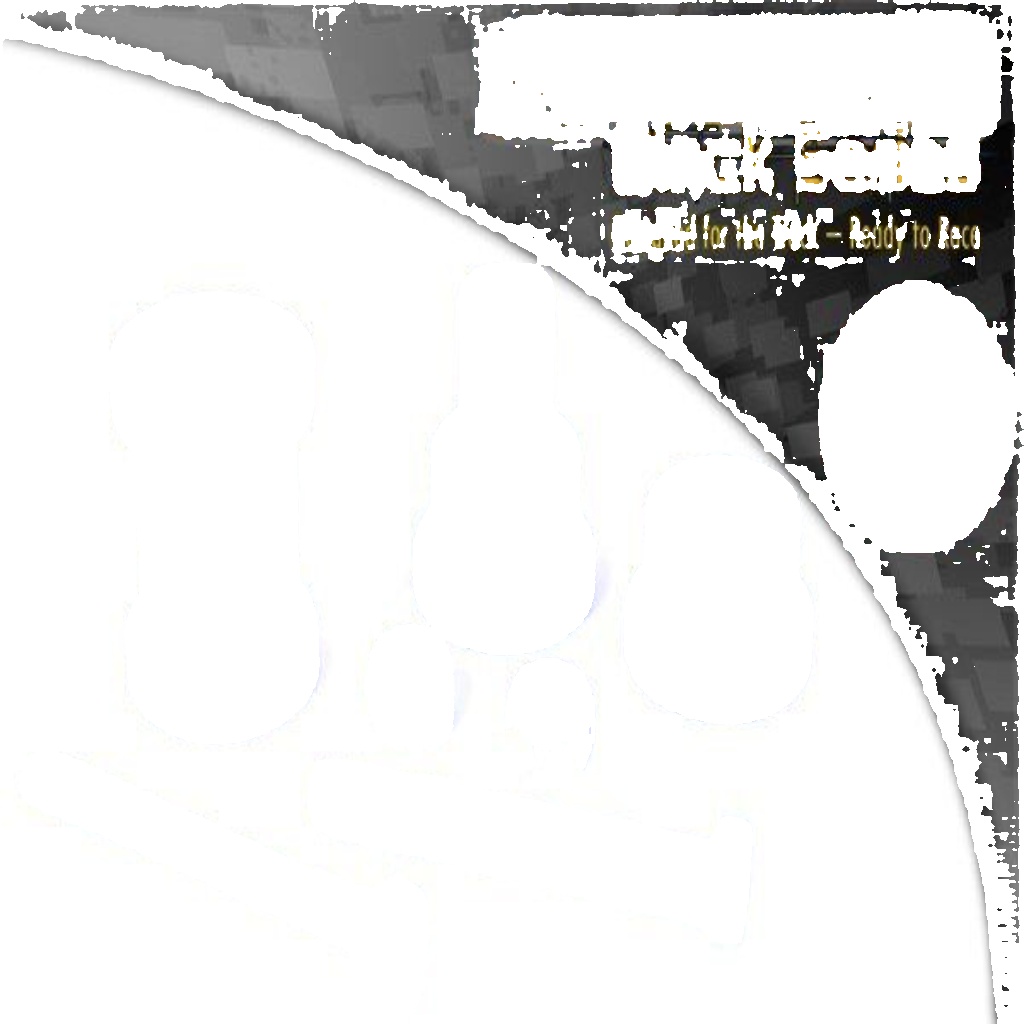 Powerflex Black Rr TrailArm In Bushes for Granada Scorpio All 85-94 PFR19-111BLK