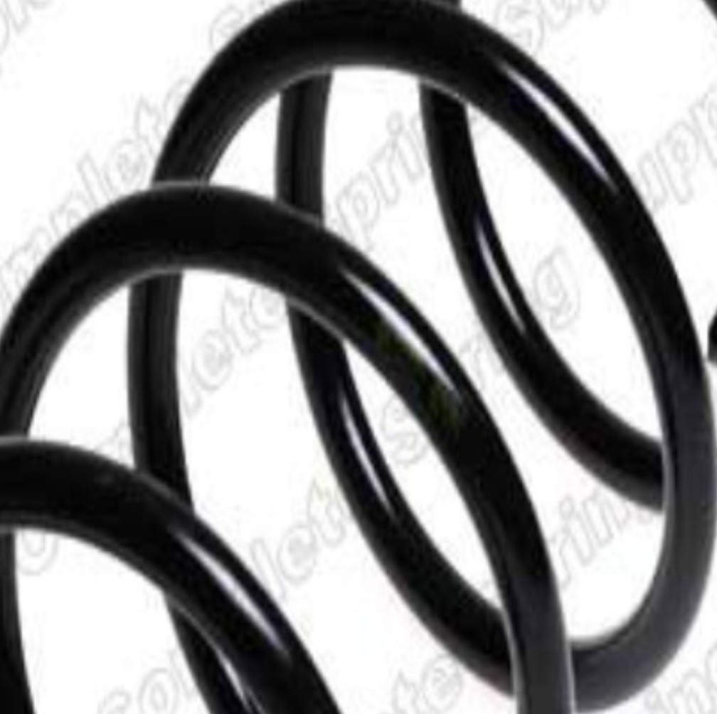 Suspension Coil Spring Front Long Life For Audi A3 VW Golf New Beetle ROC CS3926