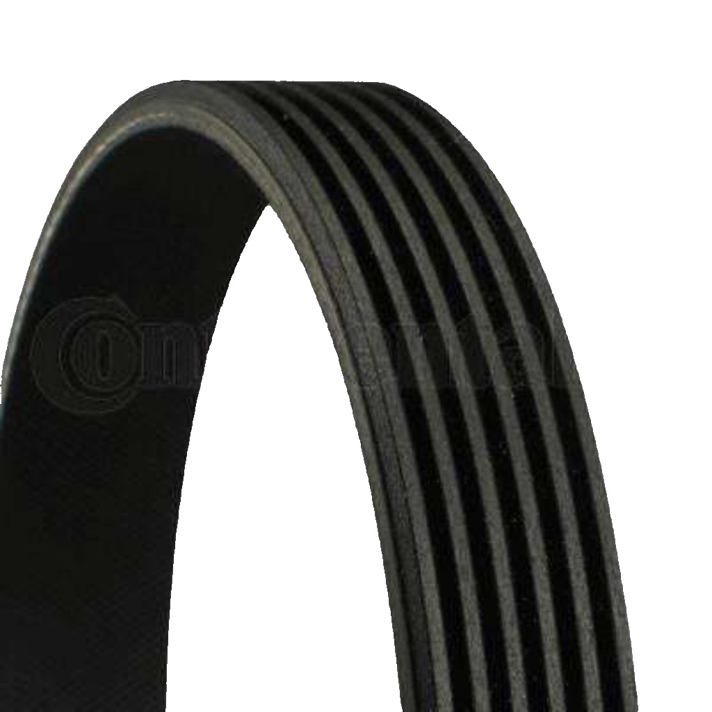 Original Continental CTAM V-Ribbed Belt 6PK2264 for Jeep Mercedes-Benz