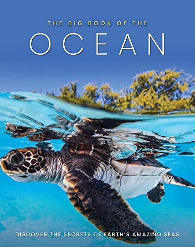 The Big Book of the Ocean by Sona Books (Hardback Book)