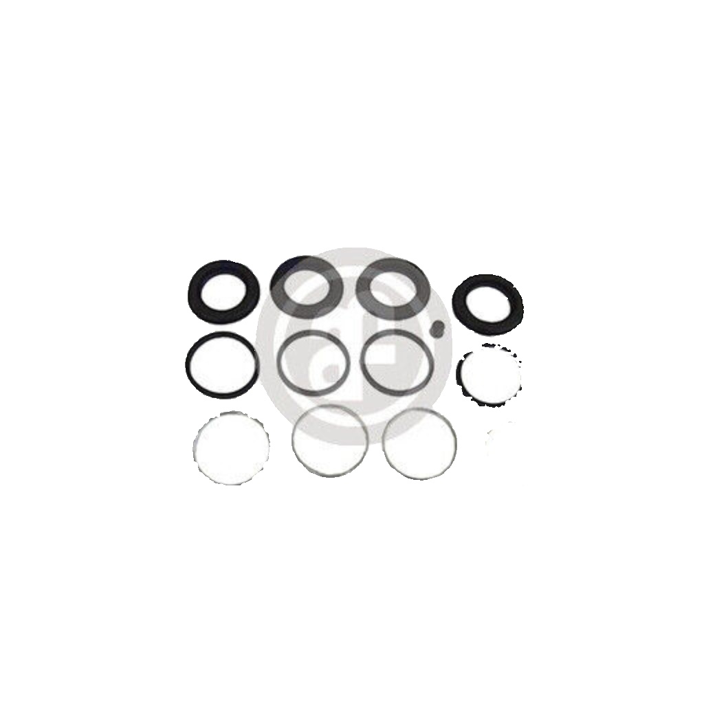 Front AUTOFREN SEINSA D4421 Repair Kit, brake caliper for IVECO,LEXUS,RENAULT TR