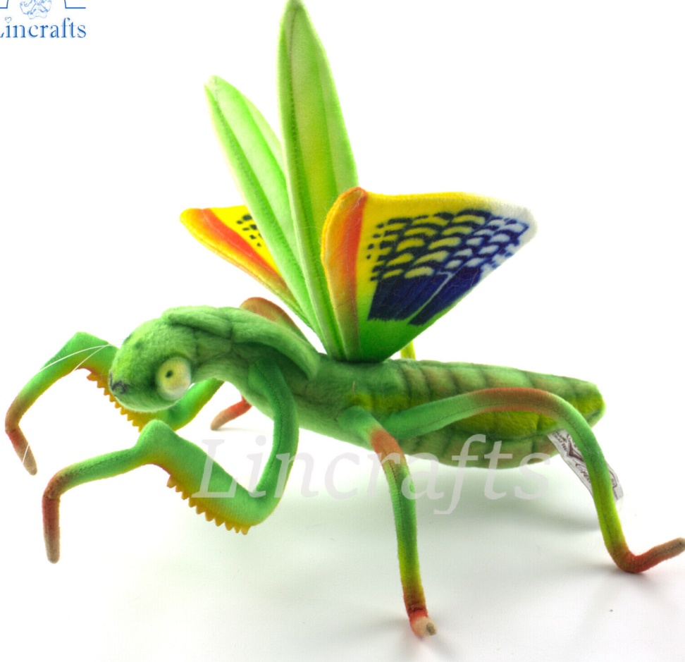 Praying Mantis 7773 Soft Toy by Hansa Creation  Sold by Lincrafts UK Est. 1993