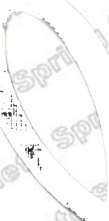 Suspension spring Front Axle Right Coil Spring 4035770 LESJÖFORS for HONDA