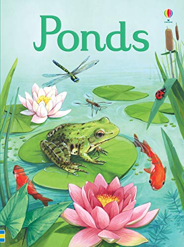 Ponds by Emily Bone HARDBACK - Image 2